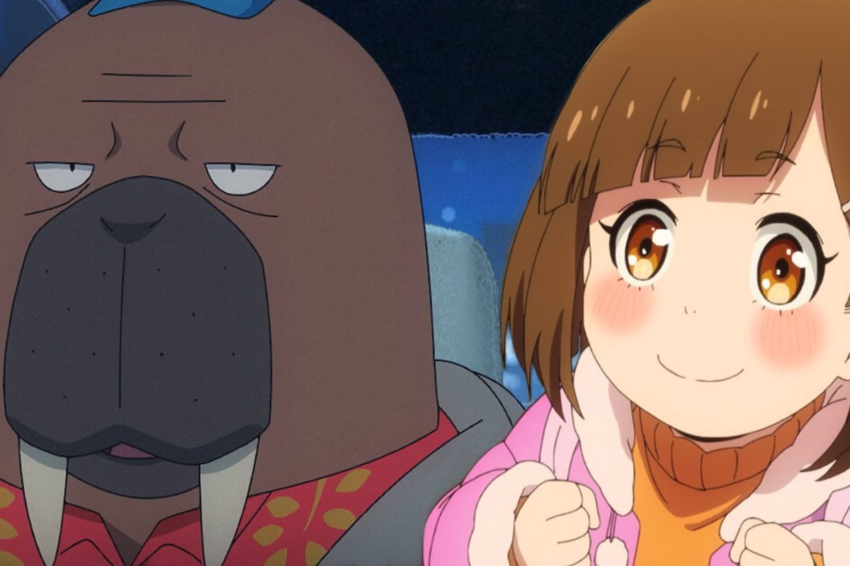 Alternative options for short finished anime not more than 13 episodes.